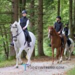 Is It Legal To Ride A Horse On The Road