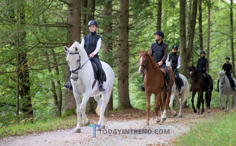 is-it-legal-to-ride-a-horse-on-the-road-safest-methods