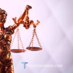 what is public interest law