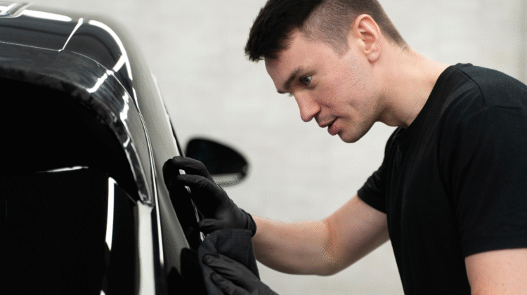florida window tint laws